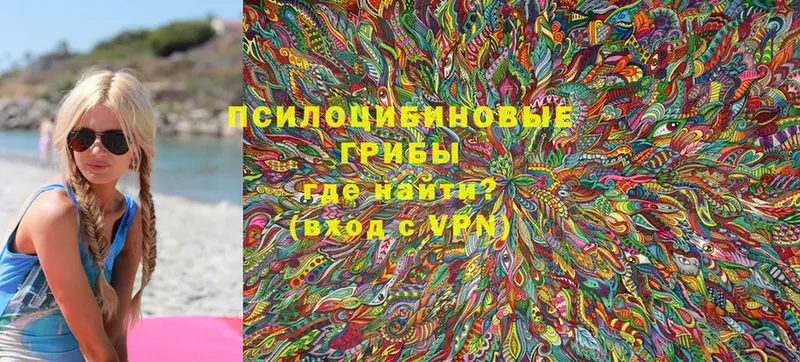 Псилоцибиновые грибы Psilocybine cubensis Пошехонье